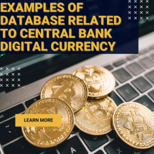 Examples of database related to central bank digital currency